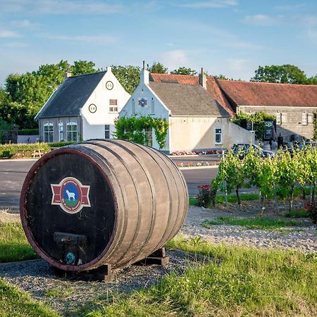 Wine-Barrel Rivaner Dreischor Ngoại thất bức ảnh